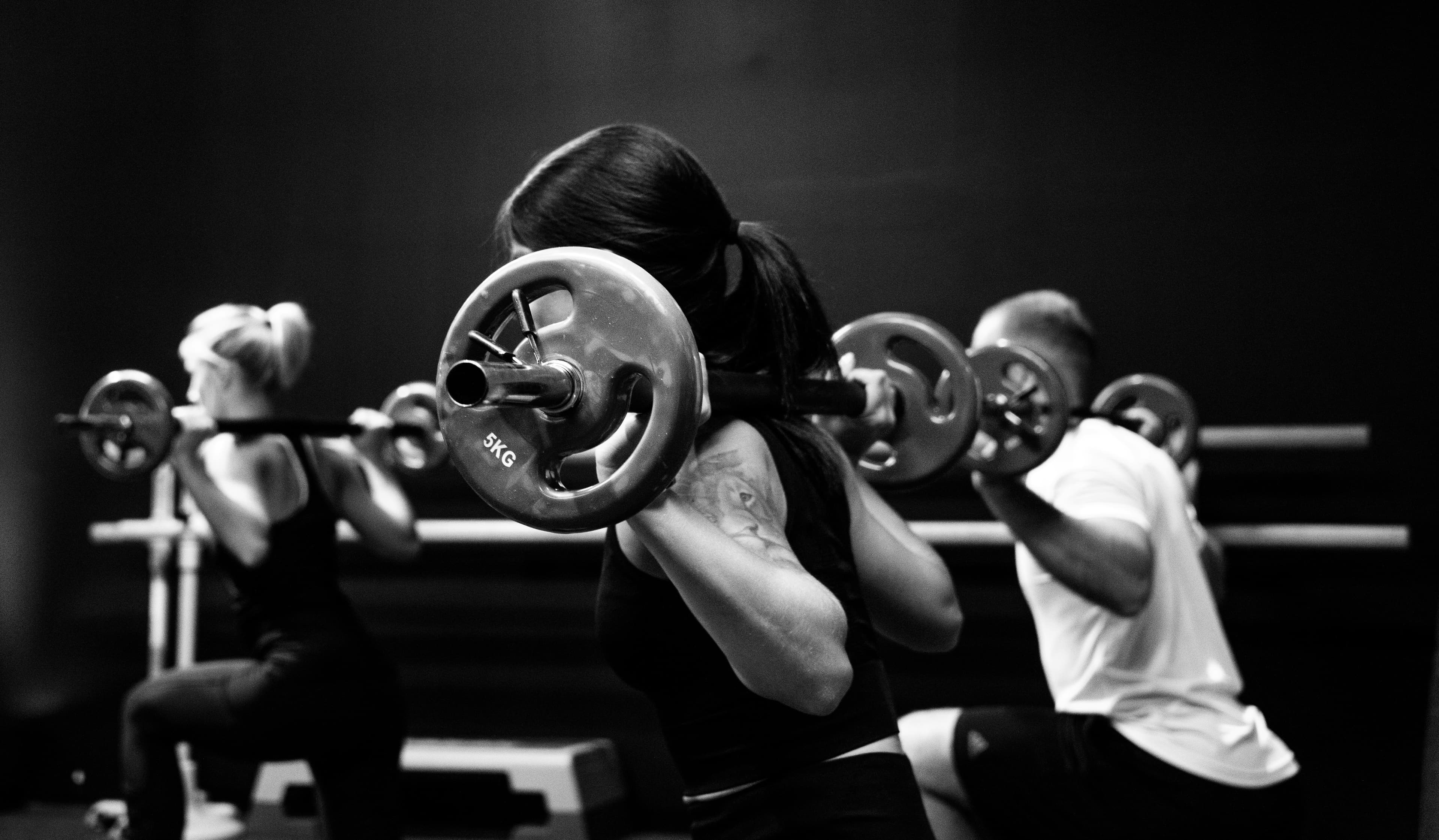 Treino e acompanhamento profissional